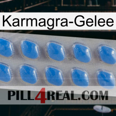 Karmagra Jelly 22